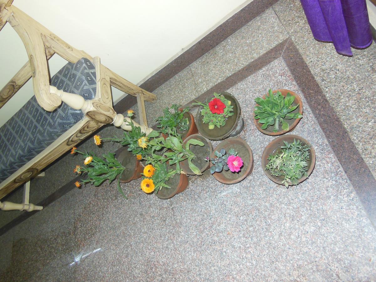 Shiva Inn - Varanasi — Photos 3